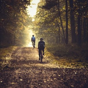 Rando VTT, Circuit des sangliers