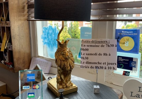 Le Lion d'Or Hôtel du Lion d’Or **