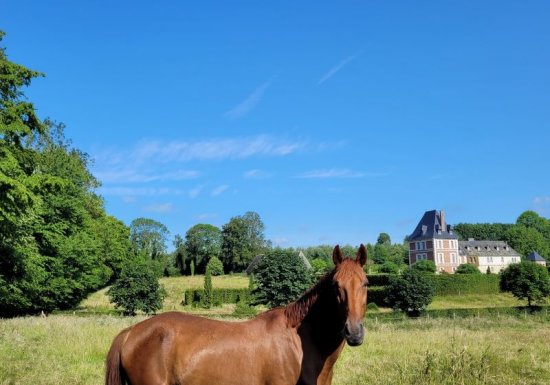 Roumois Seine Domaine du Bosc Roger
