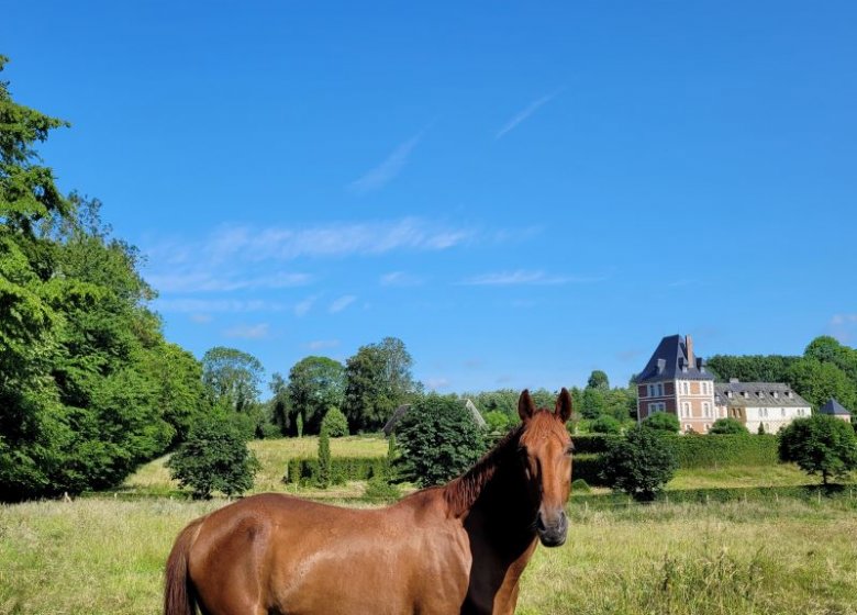 Domaine du Bosc Roger