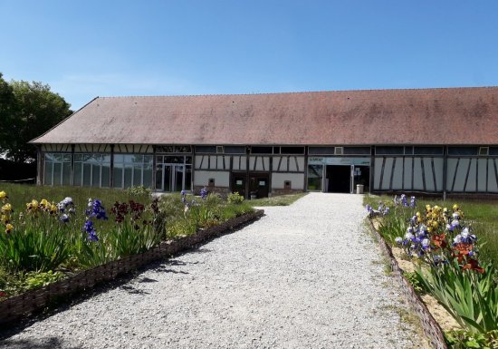 ©Département Eure Site archéologique de Gisacum