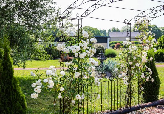 gitesdelaforet Domaine Les Gîtes de la Forêt