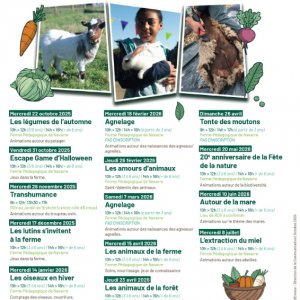 Agnelage à La Ferme Pédagogique