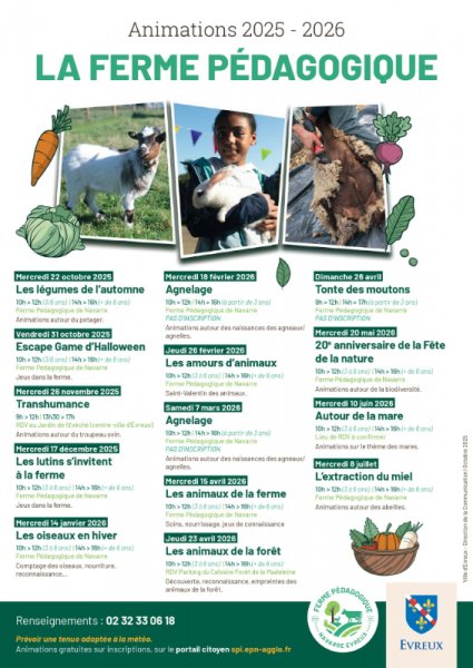 Tonte Des Moutons à La Ferme Pédagogique