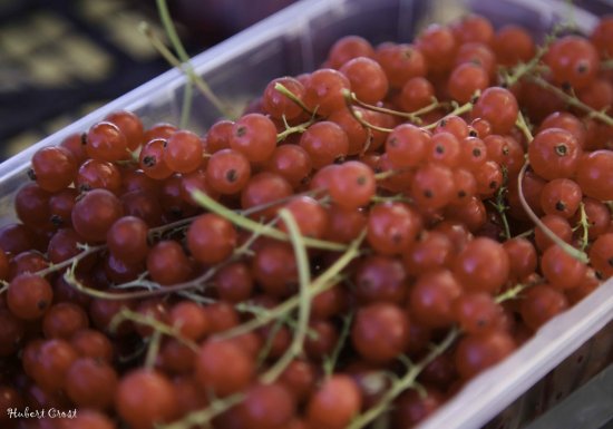 Domaine du Framboisier Le Domaine du Framboisier