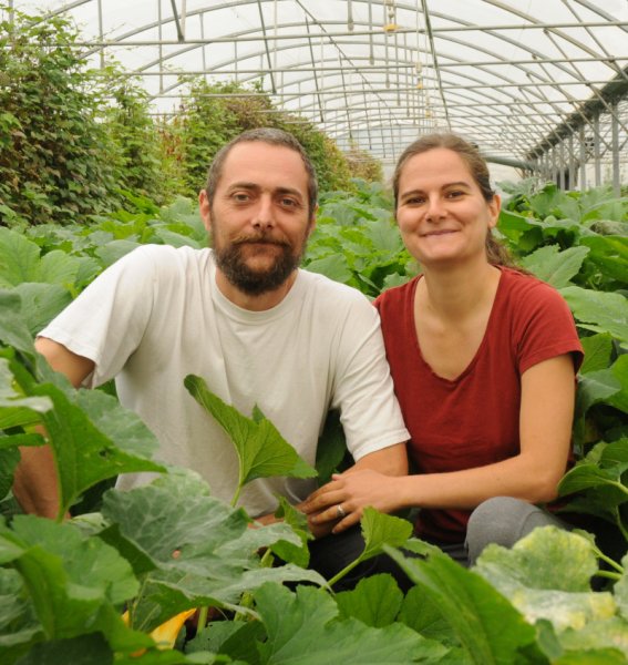 Les serres de Marcel