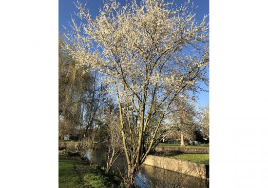 ©Madame Coello Le Clos de la Tannerie – Chambre Potiron