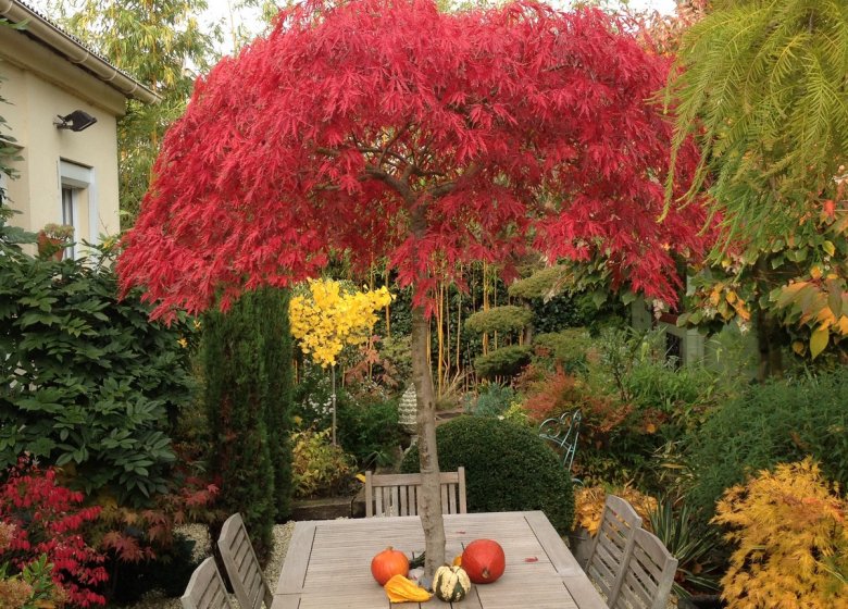 le Jardin des Coteaux de St Michel