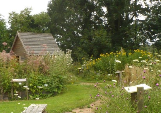 Jardin des Herbes Sauvages – Association Roumois Terre Vivantes en Normandie