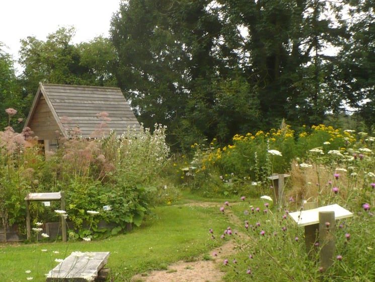 Jardin des Herbes Sauvages