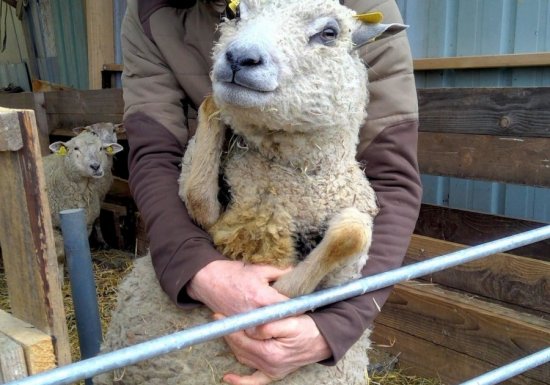 La Ferme de l&rsquo;Ecureuil