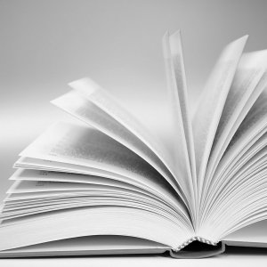 ©DR Fête du Livre et du Disque