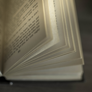 Canva Salon du livre