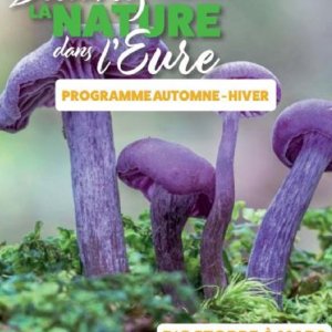 Sortie nature à Evreux : l&rsquo;humus en minuscule