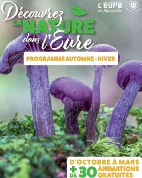 Sortie nature à Evreux : l&rsquo;humus en minuscule