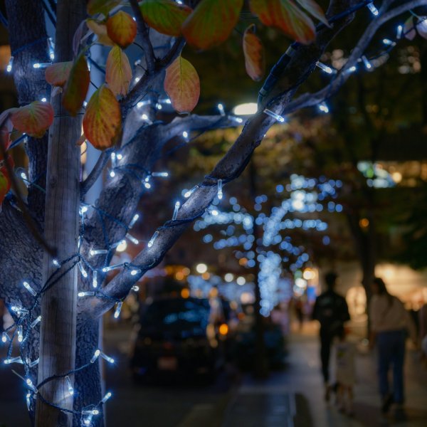 Soirée des illuminations de Noël