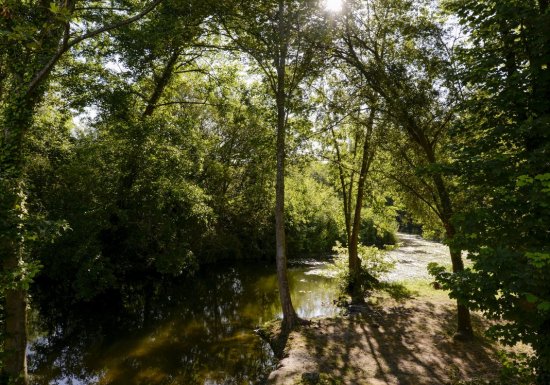 Circuit Les Baskets de Pagnol Marcel (BPM)