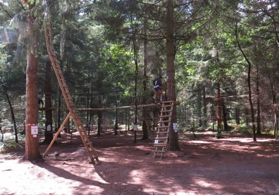 Acroforest parc d’aventures et de loisirs de Brosville