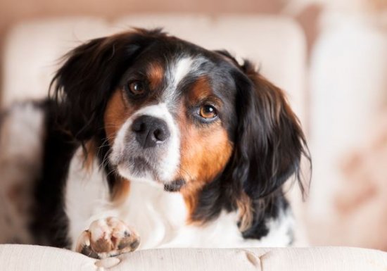 Mélina Andraud Fouquet