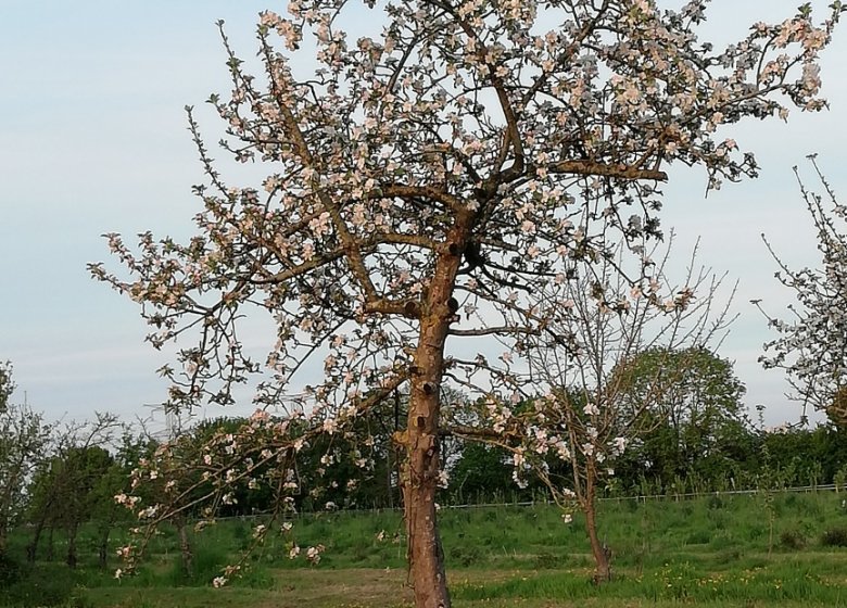 La Ferme du Haut Fayel