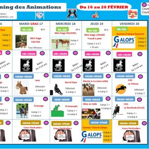 Planning des animations du 16 au 20 février 2026