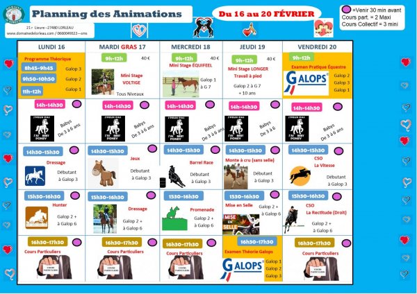 Planning des animations du 16 au 20 février 2026