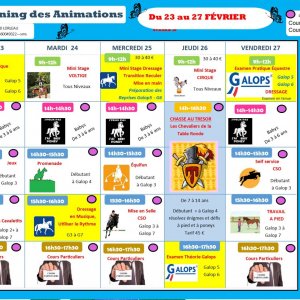 Planning des animations du lundi 23 au vendredi 27 février 2026