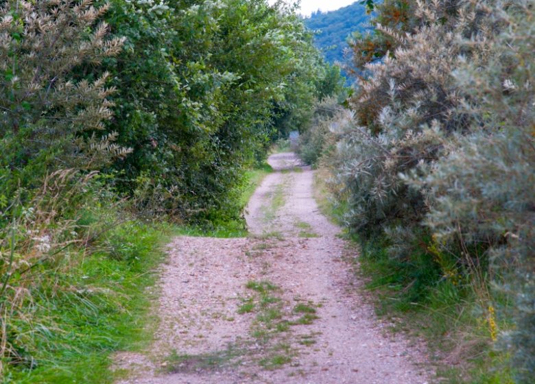 ©DR Circuits de Randonnées