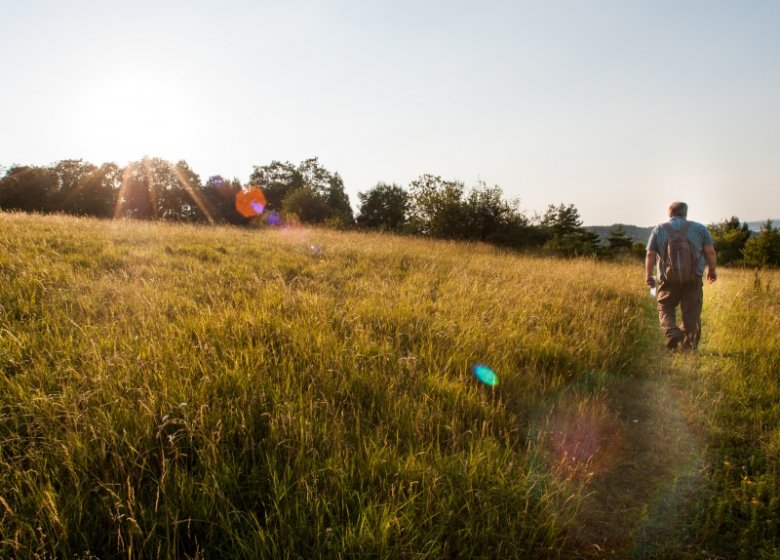 ©DR Circuits de Randonnées