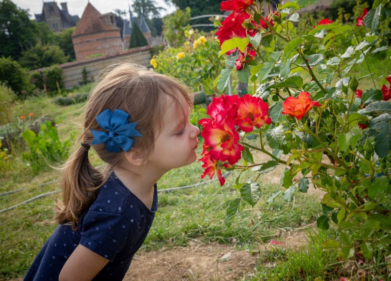 Potager du Domaine de Chambray