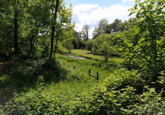 Espace Naturel Départemental : le sentier de la Bergeronnette