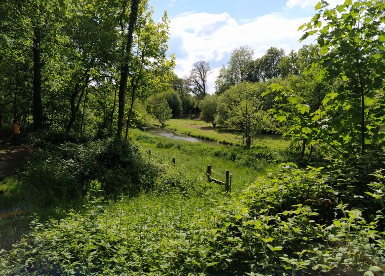 OT Normandie sud eure Sentier de la Bergeronnette