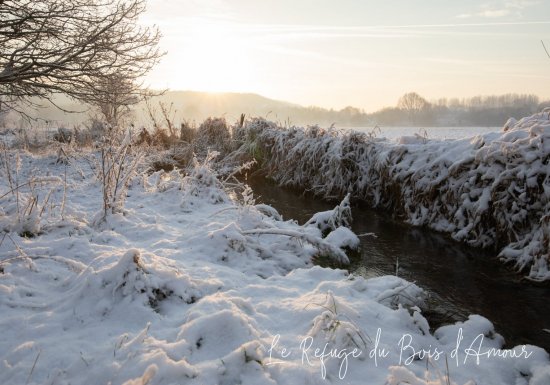 Le refuge du Bois d&rsquo;Amour