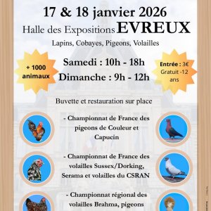 Exposition Avicole à Evreux