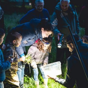 Aurelien Papa Sortie Nature : Sous le chapeau
