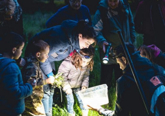 Sortie Nature : Sous le chapeau