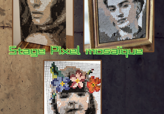 Stage portrait Pixel Monochrome 6 jours