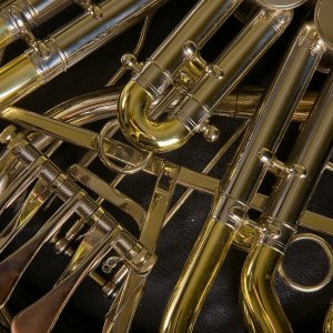 pixabay Concert de trompes du Haras du Pins