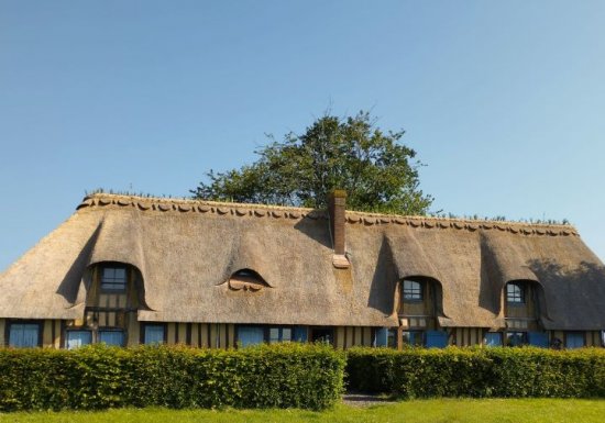 Terres vivantes en normandie Moulin à vent de Hauville – Association Roumois terres vivantes en Normandie