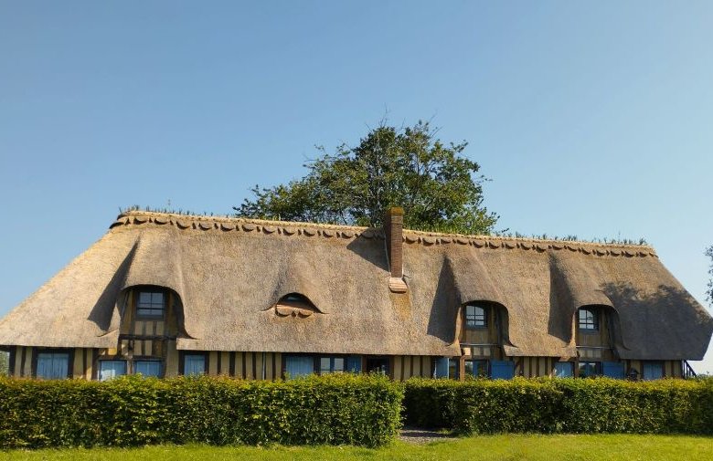 Moulin à vent de Hauville – Association Roumois terres vivantes en Normandie