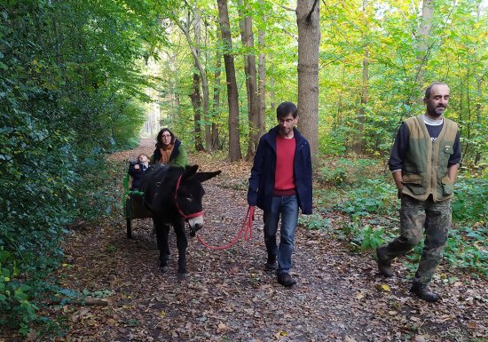 Lytavis – activités avec des ânes