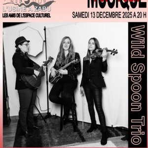 Concert : Le Wild Spoon Trio à l’Usine à Zabu