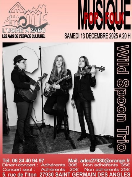 Concert : Le Wild Spoon Trio à l’Usine à Zabu