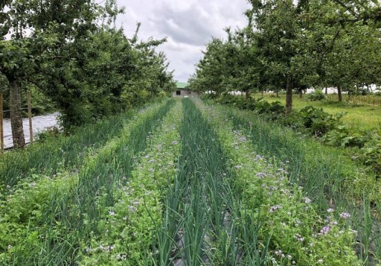 Ferme de la Mare des Rufaux