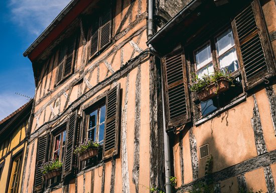 Aurelien Papa Vernon