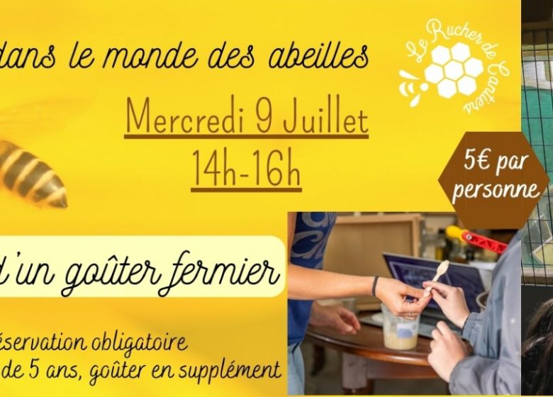 Entrez dans le monde des abeilles